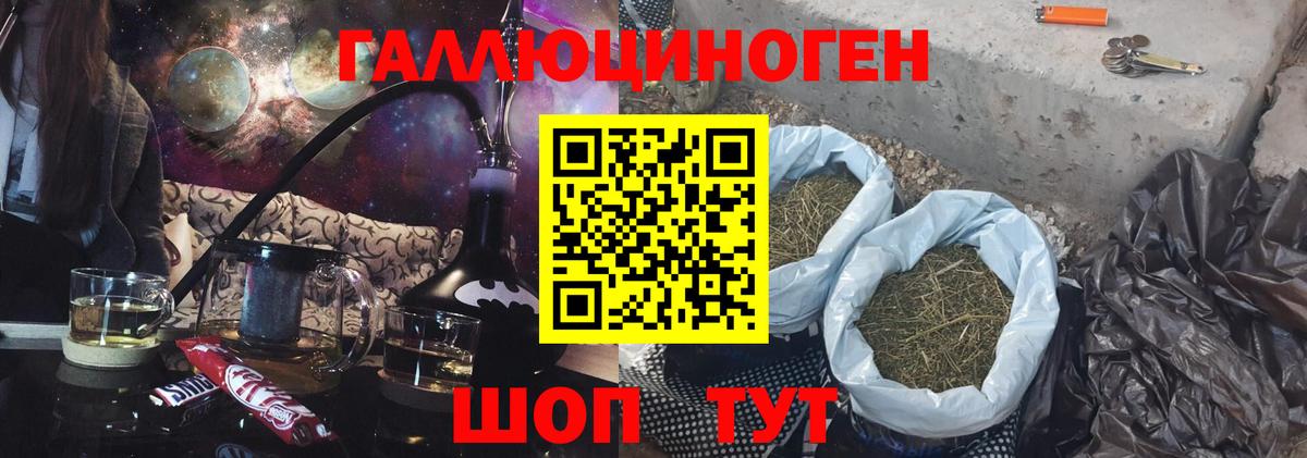Псилоцибиновые грибы Cubensis Ярославль